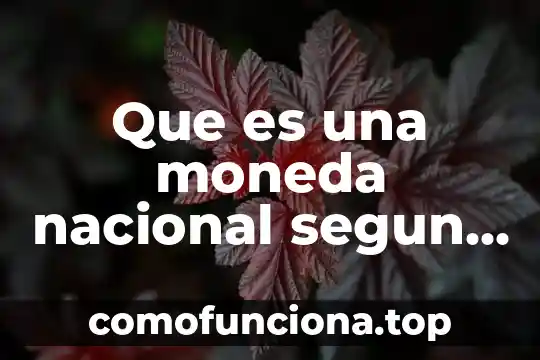 Que es moneda puente economia 7 Que es una moneda nacional segun los expertos