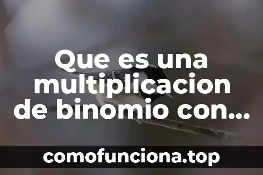 Que es binomio diferencia al cuadrado 5 Que es una multiplicacion de binomio con ejemplos