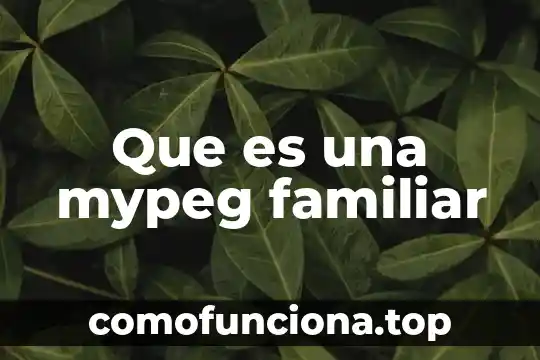 Que es la sinamica familiar 5 Que es una mypeg familiar