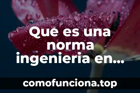 Que es una señal digital industrial 7 Que es una norma ingenieria en industrial