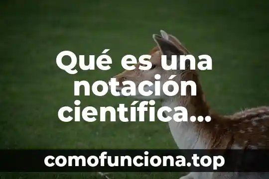 Que es farmacodinamia concepto 6 Qué es una notación científica concepto