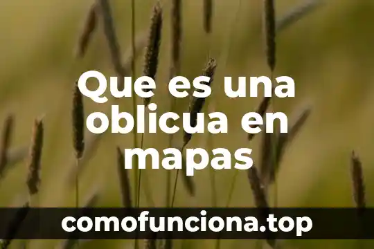 Mapas conceptuales de que es bioenergética 4 Que es una oblicua en mapas