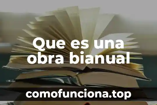 Que es una obra de arte bidimensional 4 Que es una obra bianual