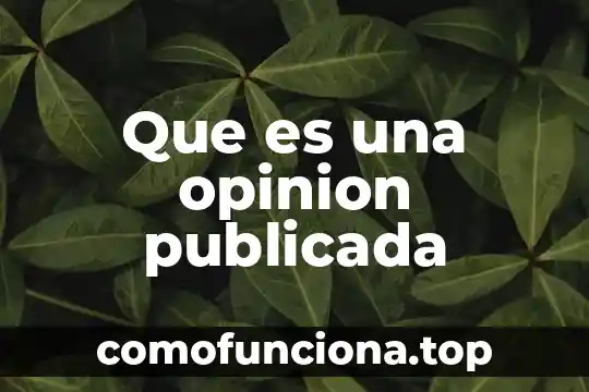 Que es el arte opinion de alguien 4 Que es una opinion publicada