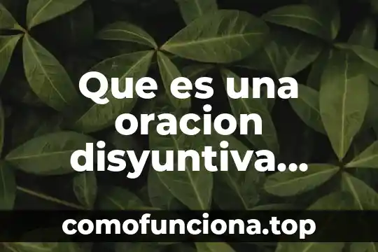 Investigar que es un translucidos de la luz 4 Que es una oracion disyuntiva ejemplos