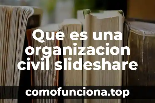 Que es aluvion en materia civil 4 Que es una organizacion civil slideshare