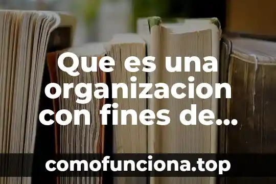 Que es una sociedad con fines de lucro 4 Que es una organizacion con fines de lucro