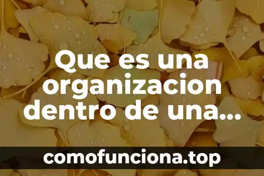 Que es la organizacion mundial de aduana 7 Que es una organizacion dentro de una organizacion
