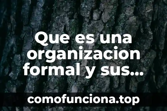 Que es un ente formal en filosofia 3 Que es una organizacion formal y sus caracteristicas