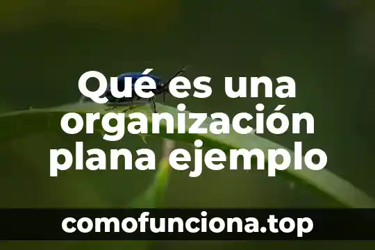 Concepto de que es diseño de una organización 4 Qué es una organización plana ejemplo
