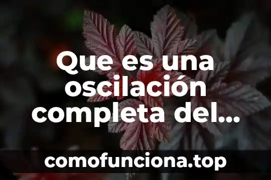Para que es útil el movimiento en un animal 5 Que es una oscilación completa del movimiento ondulatorio