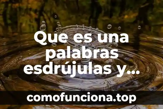 Que es una planta de sombra 5 Que es una palabras esdrújulas y ejemplos para niños
