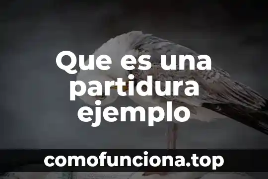 Que es biomédico definición 8 Que es una partidura ejemplo
