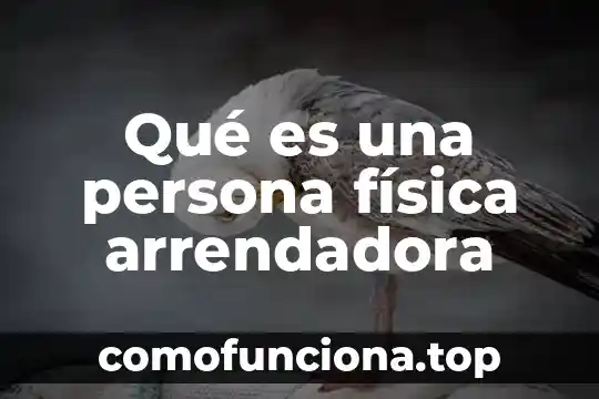 Que es e.firma persona fisica 3 Qué es una persona física arrendadora