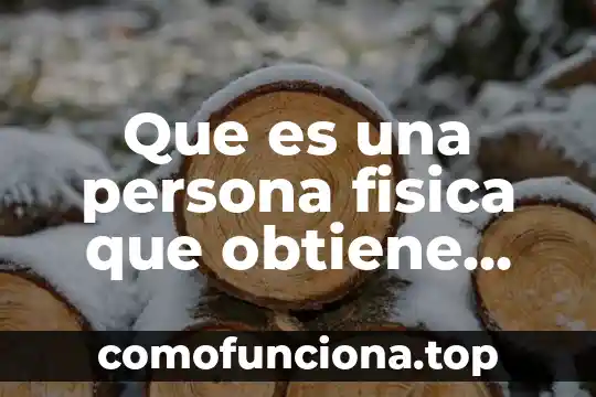 Que es un plan de sueldos y salarios 5 Que es una persona fisica que obtiene ingresos por salarios