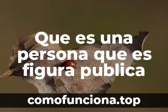 Que es una persona paraplejica 5 Que es una persona que es figura publica