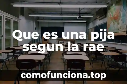 Que es un articulo rae 8 Que es una pija segun la rae