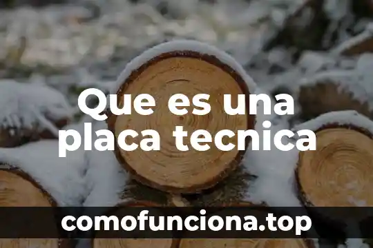 Que es la organizacion tecnica productiva 5 Que es una placa tecnica