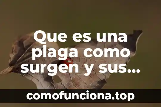 Que es de stijl concepto y caracteristicas 6 Que es una plaga como surgen y sus caracteristicas