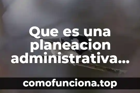 Qué es información financiera y para qué sirve 3 Que es una planeacion administrativa y financiera