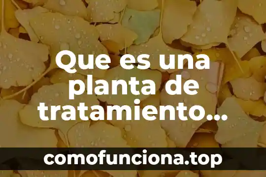 Que es la altamisa como planta medicinal 4 Que es una planta de tratamiento compactada