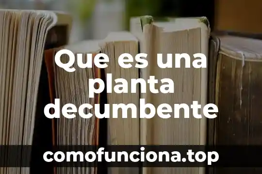 Para que es la planta pata de vaca 4 Que es una planta decumbente