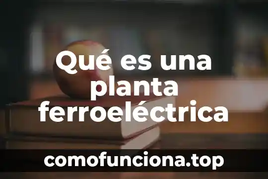 Que es la planta cancapiedra 7 Qué es una planta ferroeléctrica