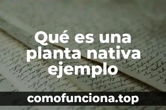 Chaparal planta que es 3 Qué es una planta nativa ejemplo