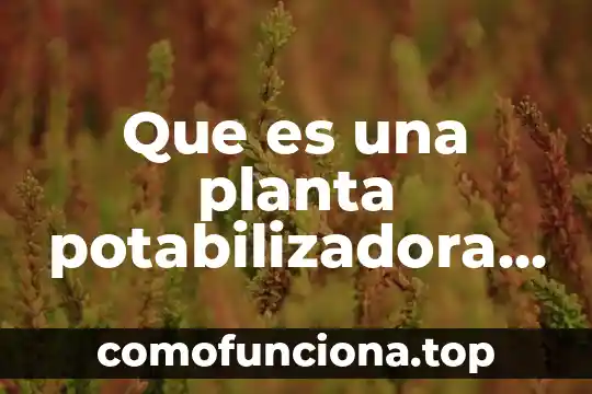 Chaparal planta que es 6 Que es una planta potabilizadora y sus caracteristicas