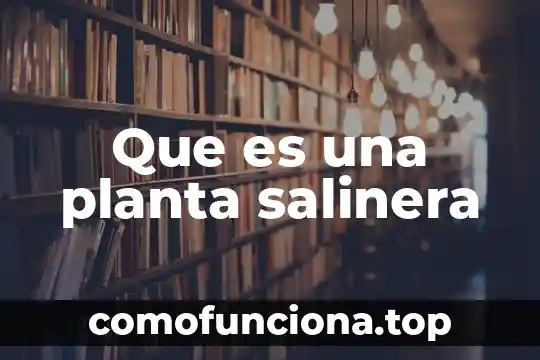 Que es una planta liofilizadora de cafe 3 Que es una planta salinera