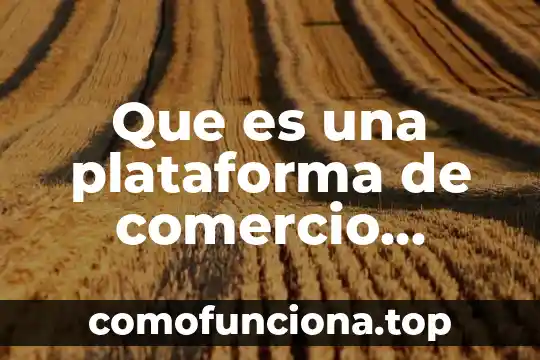 Stocking que es comercio internacional 4 Que es una plataforma de comercio electronico mapa conceptual