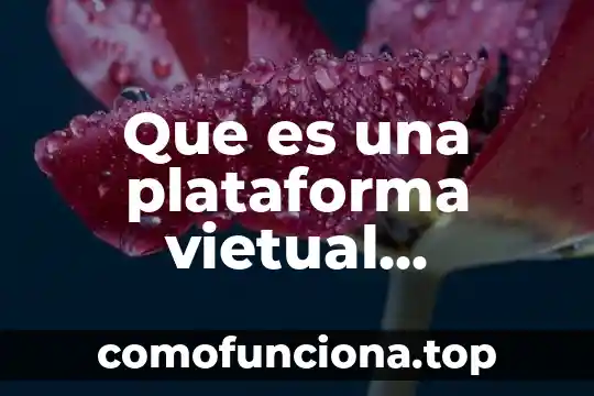 Que es una licenciatura educativa 8 Que es una plataforma vietual educativa