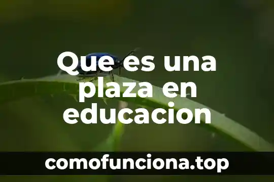 Que es ser tata en santería 7 Que es una plaza en educacion
