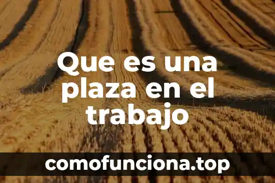 Que es la tesis en un trabajo de investigacion 5 Que es una plaza en el trabajo
