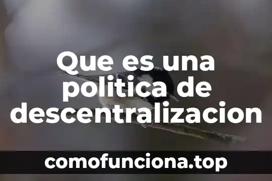Que es descentralización de la autoridad 3 Que es una politica de descentralizacion
