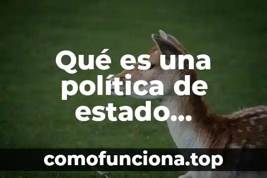 Definición de que es un materiel según autores 4 Qué es una política de estado definición