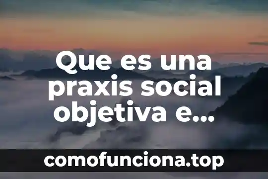 Que es praxis médica 5 Que es una praxis social objetiva e intencional