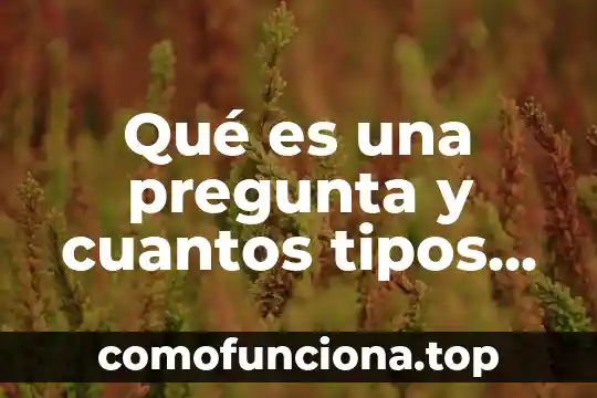 Que es un carnaval y cuales hay en mexico 3 Qué es una pregunta y cuantos tipos hay