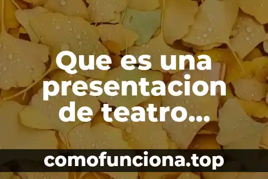 Amor frente a la muerte que es 3 Que es una presentacion de teatro frente a un publico