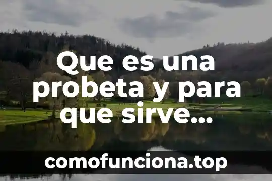 Qué es un movimiento axial y radial yahoo 4 Que es una probeta y para que sirve yahoo