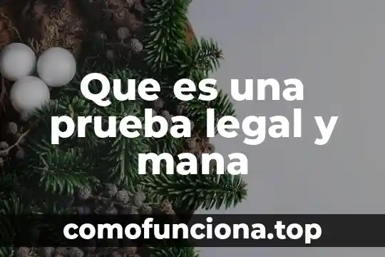 Prueba posit que es 3 Que es una prueba legal y mana