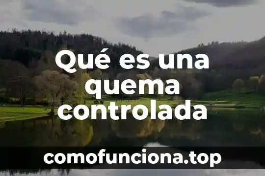 Que es el significado de la quema del mal humor 5 Qué es una quema controlada