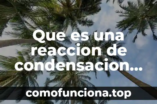Qué es condensación basado en termodinámica 6 Que es una reaccion de condensacion yahoo