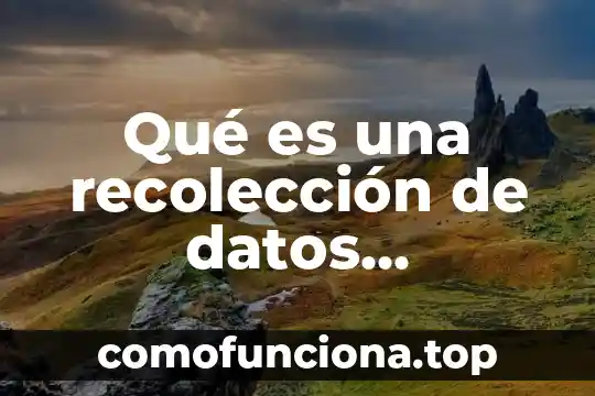Que es procedimiento de recoleccion diseño del experimento 7 Qué es una recolección de datos cualitativa