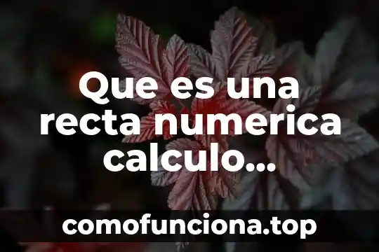 Que es movimiento uniforme en linea recta 3 Que es una recta numerica calculo diferencial