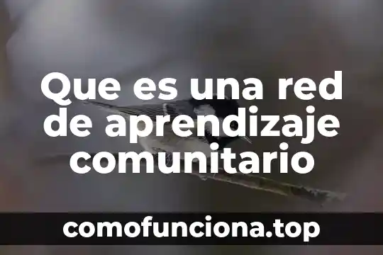 Que es y que implica implementar un proyecto comunitario 3 Que es una red de aprendizaje comunitario