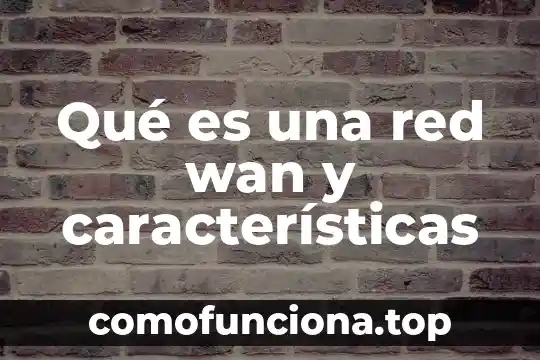 Que es wan libro 7 Qué es una red wan y características