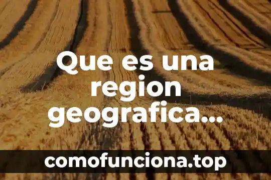 Que es el naturalismo etica y valores 5 Que es una region geografica yucatan definicion y caracteristicas educacion