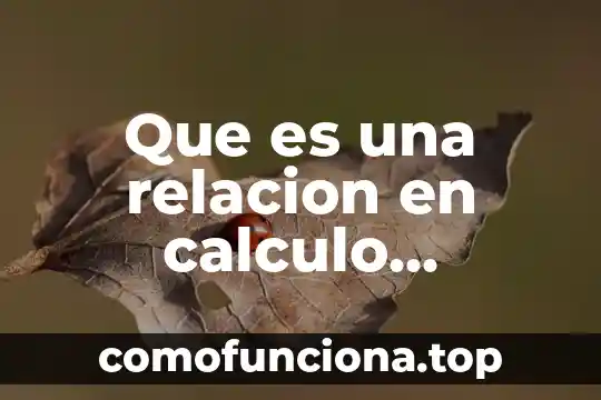 Que es el arte segun los libros 7 Que es una relacion en calculo diferencial libros