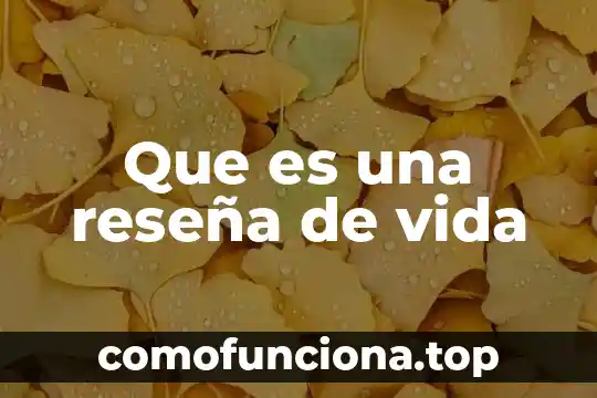 Aneta Florczyk que es de su vida actual 3 Que es una reseña de vida